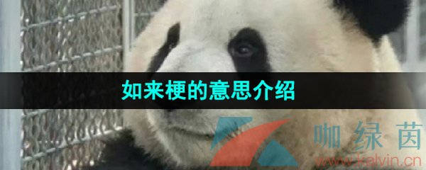 《抖音》**梗的意思介绍