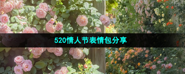 《抖音》520情人节表情包分享