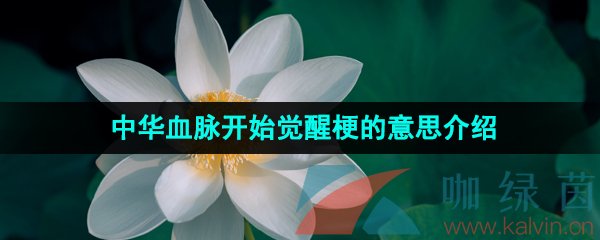 《抖音》中华血脉开始觉醒梗的意思介绍